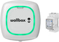 Wallbox Pulsar Plus - Oplader voor elektrische voertuigen, Type 2 connector, Wifi, Bluetooth, OCPP, Binnen/Buiten) (Type 2-7.4 KW | 5 m, Zwart)(Pulsar Plus  Power Meter/7.4kW | 5m/Wit)